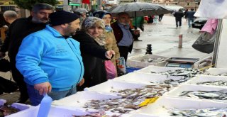 Balık, Karadenizden Ege Ve Akdenize Göç Ediyor