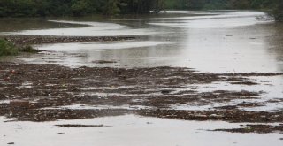 Şiddetli Yağış Sera Gölünü Çöp Ve Çamurla Kapladı