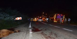 Orduda Kaza: 3 Yaralı