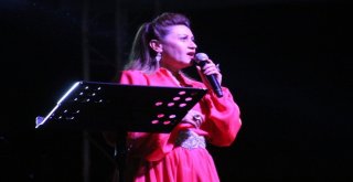 Şölenlerde Sahne Sırası İlyas Yalçıntaş Ve Azerindeydi