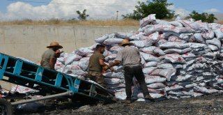 Patnosta Dar Gelirli Ailelere Yönelik Kömür Yardımı