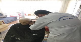 Büyükçekmecede Sevgi Eli Market İhtiyaç Sahiplerinin Yüzünü Güldürüyor