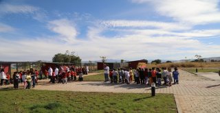 Bingölde Yüzlerce Öğrenci Barınağı Gezdi, Hayvanları Besledi