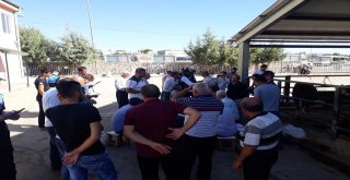 Kurbanlık Satıcıları Sahte Para Konusunda Uyarıldı