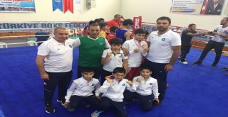 Boksun Şampiyonu Büyükşehirden