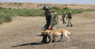 Kayıp Yusufu Arama Çalışmaları 10. Gününde