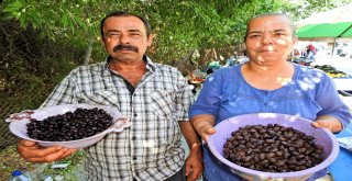 Taşeronun Kazandığı Fahiş Fiyatlara Üretici Darbesi