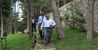 Belende Göçmen Kuşların Geçiş Güzergahına Kuş Gözlem Merkezi