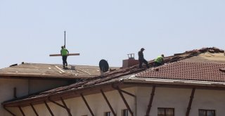 Tehlikeye Ve Meraklı Gözlere Aldırmadılar