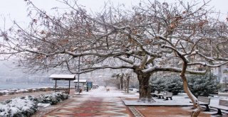 “Siyah Elmas” Karelere Yansıdı