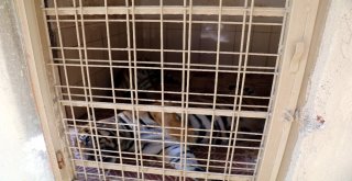 Aref, Hastaneye Gitmek İçin 5 Saat Beklemiş