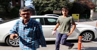 Sakaryada Acemi Kasaplar Hastanelik Oldu