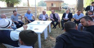 Ktb Başkanı Bağlamış, Yerli Kurban Alarak Üreticilere Destek Verin