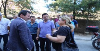 Vali Tavlı, Yangın Alanında İncelemelerde Bulundu