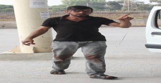 En Küçük Acemi Kasap