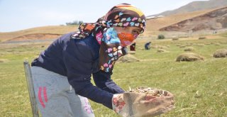 Salep Ekmek Kapısı Oldu