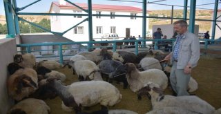 Tatvanda Arife Günü Telaşı