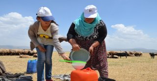 Yaz Tatilinde Süt Sağım Mesaisi