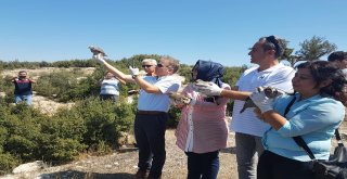 Korkuteli Ormanlarına 50 Tane Kınalı Keklik Bırakıldı