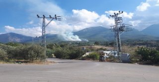 Hatayda Orman Yangını