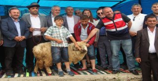 Ak Partili Öztürk: İmar Barışı Başvurularını Kaçırmayın