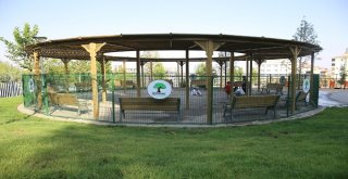 Güvenevlerdeki Parkın Yapımı Tamamlandı