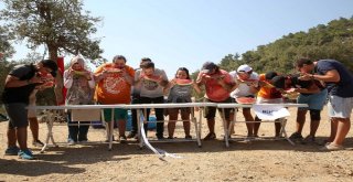 Bu Festivalde Teknolojiye Yer Yok