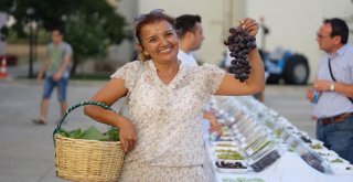 Trakya Bağ Bozumu Ve Ekoloji Festivali Başladı