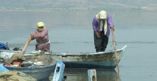 Denizi Olmayan Manisadan Uzak Doğuya Balık İhracatı