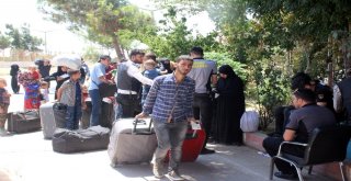 42 Bin Suriyeli Türkiyeye Döndü
