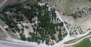 Köprübaşına 185 Bin Metrekare Kilit Parke