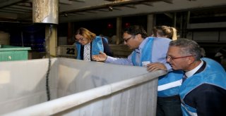 Sıfır Atık İle İsraf Önlüyor