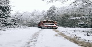 Kar Yağışı Ormanda Çalışan Sürücülere Zor Anlar Yaşattı