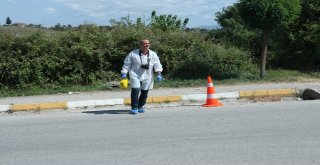 Kocaeli Tarım Ve Orman İl Müdürü, Kendi Aracının Altında Kalarak Hayatını Kaybetti