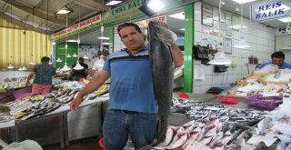 Denizlide Balıklar Tezgahlardaki Yerini Aldı