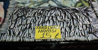 Deniz Balıkları, Denize Kıyısı Olmayan Şehirlerde Yerini Almaya Başladı