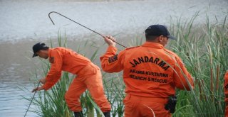 Evrimi, Kadavra Köpeği Mavi Mezarlıkta Aradı