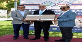 Sokak Hayvanları Geri Dönüşüm İle Hayata Tutundu