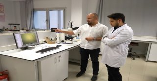 Paü Teknoloji Fakültesinden Silikon Vadisine