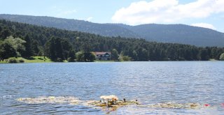 Gölcük Tabiat Parkında Hafta Sonu Yoğunluğu