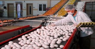 Yumurta Üreticileri Merkez Birliğinden Zam Açıklaması
