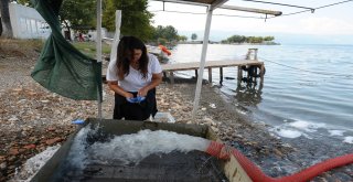 (Özel) Gölün Dibinde Yatan 100 Yılın Keşfi Havadan Ve Su Altından Böyle Görüntülendi