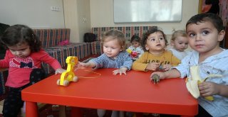 Bebekler Arkadaşlarıyla Buluştu