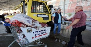 Yenimahallede Kurban Bayramı Coşkusu