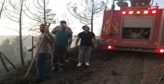 Kaymakam Ve Vatandaşlar, Ormanı Yanmaktan Kurtardı