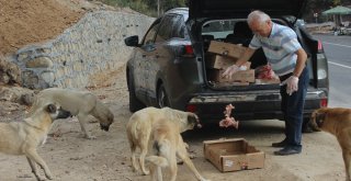 (Özel Haber) Bir Çok Kişi Öldürmeye, O Yaşatmaya Çalışıyor