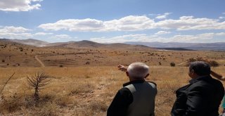 Mhpli Fendoğlu, Cafana Ve Görgüye Yapılacak Taş Ocağını İnceledi