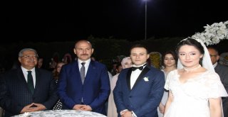 Bakan Soylu, Düzcede Nikah Şahidi Oldu