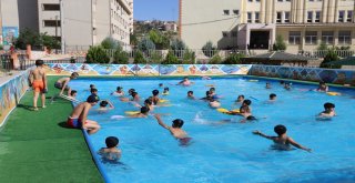 Yüzme Kursuna 3 Bin Çocuk Başvurdu