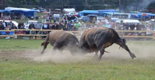 Asırlık Festival Renkli Görüntülere Sahne Oldu